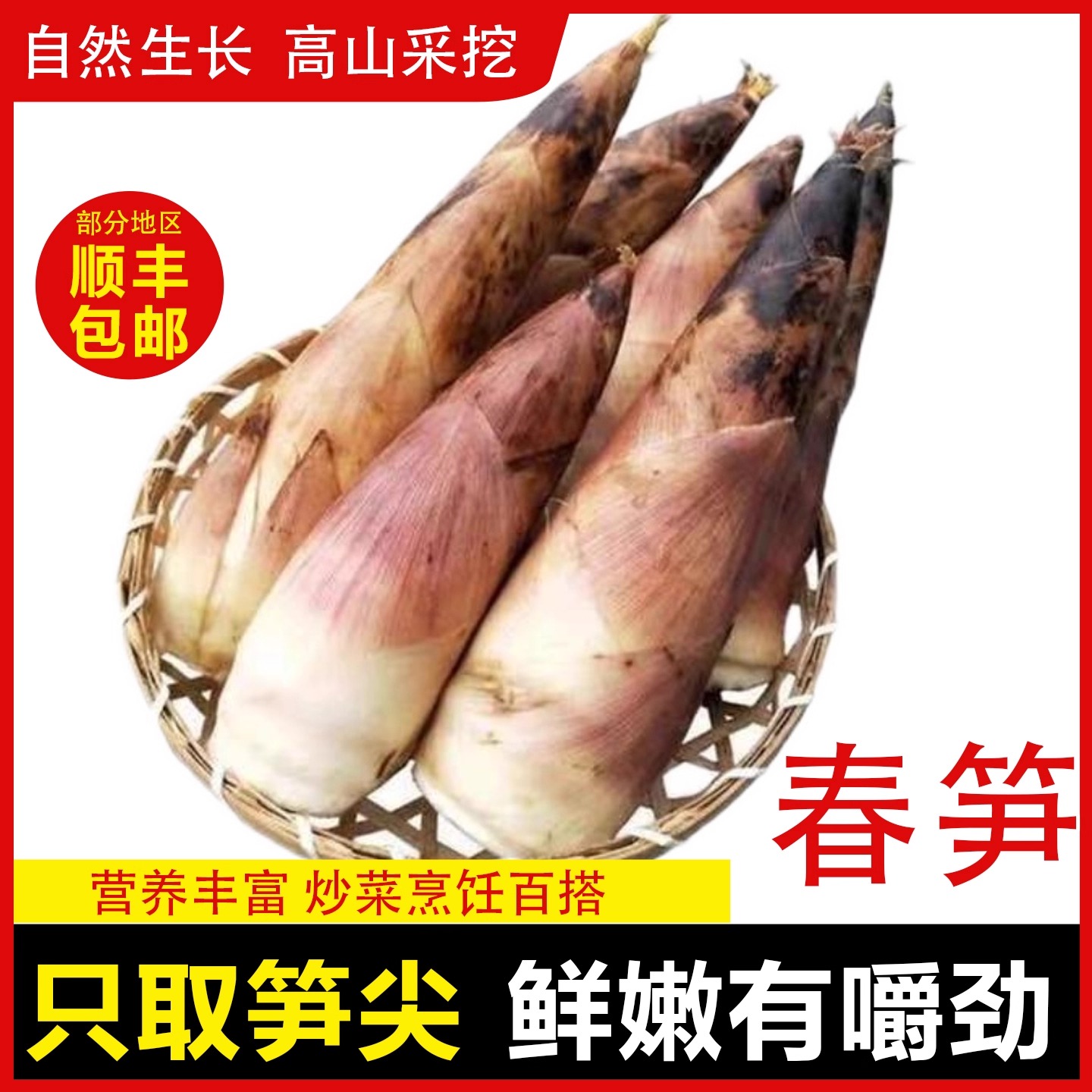 浙江杭州竹笋当季新鲜现挖竹笋新鲜蔬菜野生竹笋火锅菜嫩笋尖