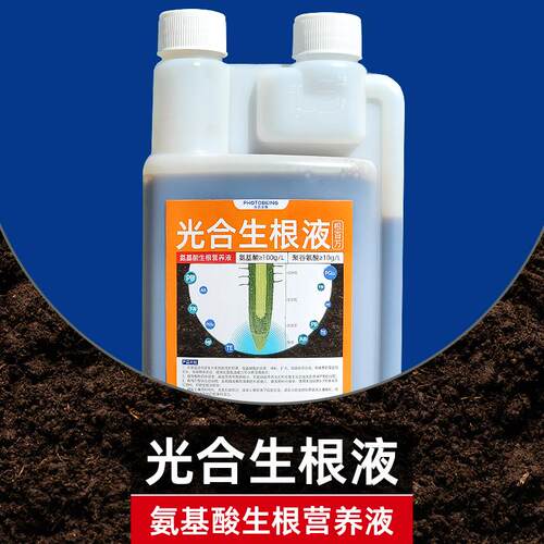 光合生根液氨基酸营养液