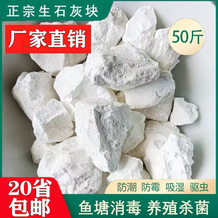 50斤生石灰块净化水质鱼塘消毒养殖防潮除湿干燥剂氧化钙防虫