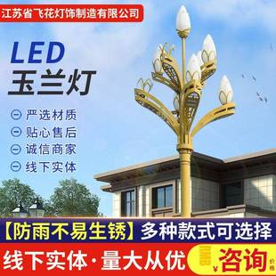 中华灯户外6米8米10米12米景观庭院灯路灯广场玉兰灯照明高杆灯