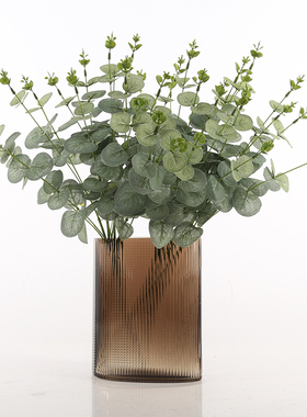 北欧仿真绿植尤加利叶家居装饰品花卉客厅餐桌花瓶插花金钱草摆件