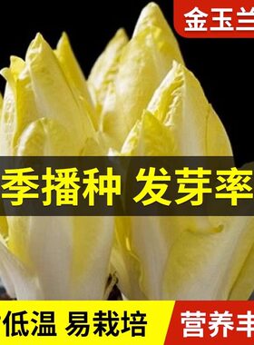 正规种子发芽率高易活