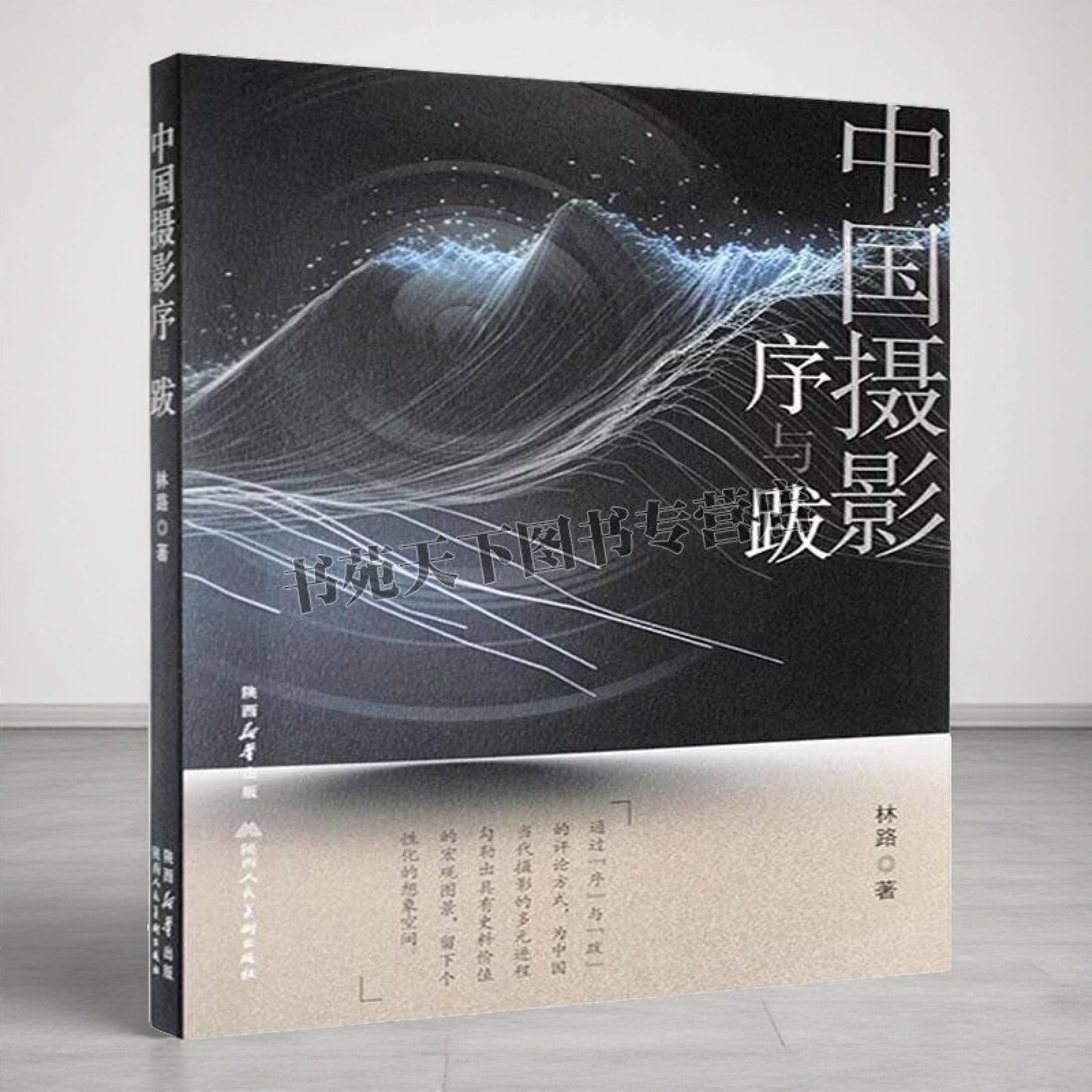 中国摄影序与跋 中国摄影当代史 中国摄影家林路先来为中国摄影名家的作品集展览等视觉传播空间写序与跋书籍 陕西人美出版社