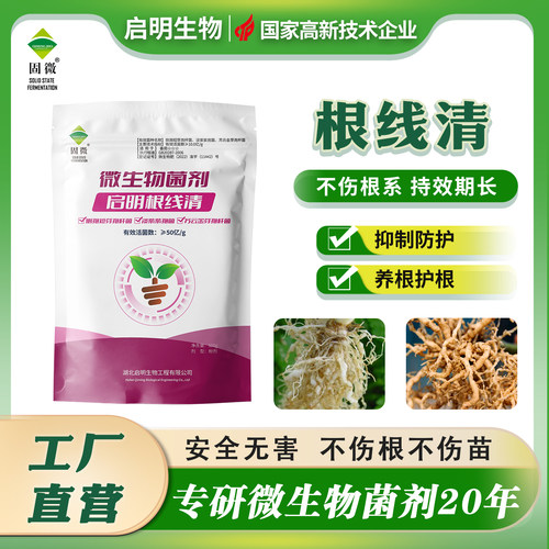 启明生物根结线虫生物菌剂无毒害