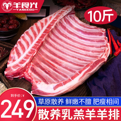 羊排新鲜羊肉5斤草原散养