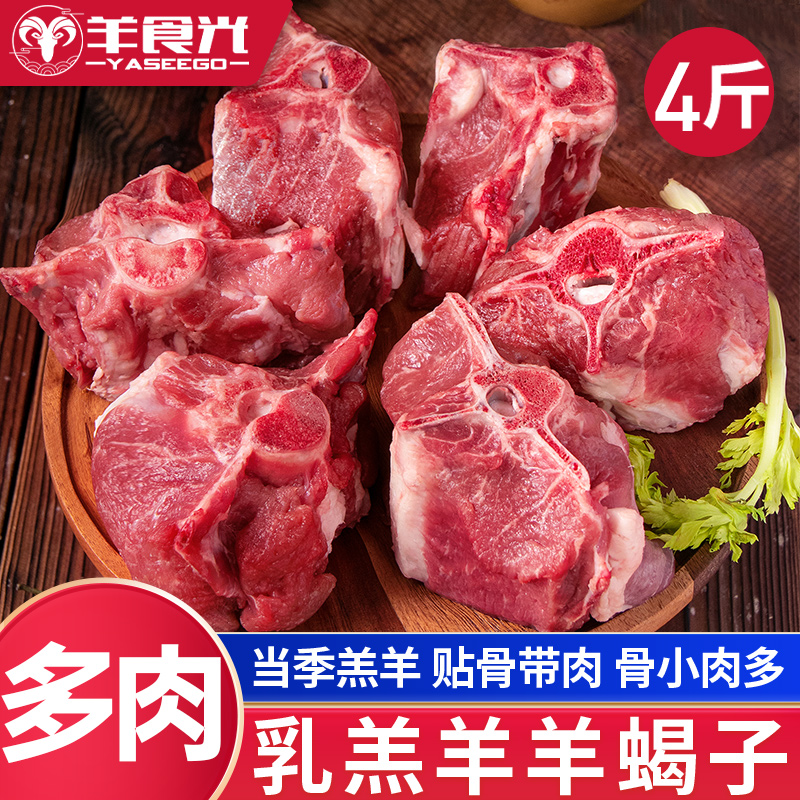 羊蝎子新鲜草原散养乳羔羊肉脊骨