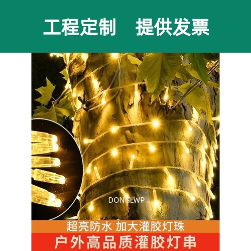 Led超亮，高度防水，大胆和扩大闪光串灯，星空，胶水填充装饰街