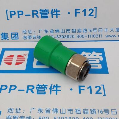 广东佛山日丰全铜热水器p