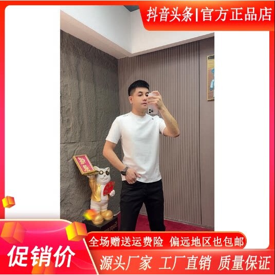 澜阙服饰Amphelisia2026早秋加厚款男士圆领短袖T恤时尚透气上衣
