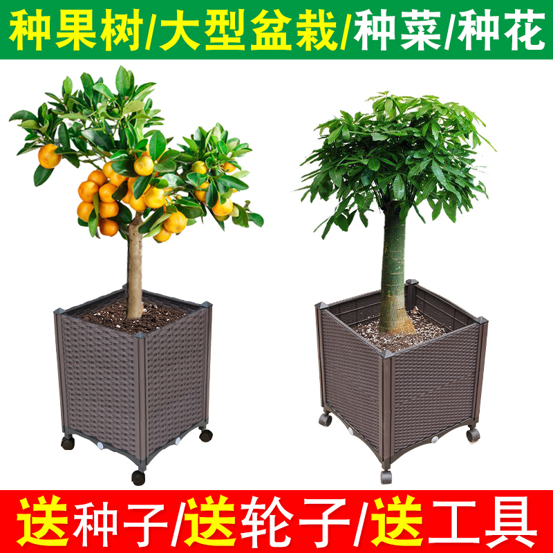 种植箱阳台种花长方形种菜神器家庭塑料树脂特大号花盆花槽深高盆