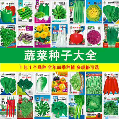 蔬菜种子旱黄瓜向日葵白不老豆角菜籽种大全四季生菜萝卜籽香菜
