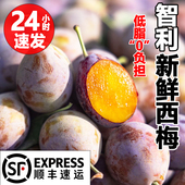 包邮 整箱 孕妇李子大果脆甜进口李 当季 顺丰智利西梅新鲜水果礼盒装