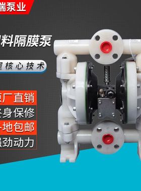 厂家生产 DN25PVDF氟塑料隔膜泵 溶剂化工氟塑料隔膜泵