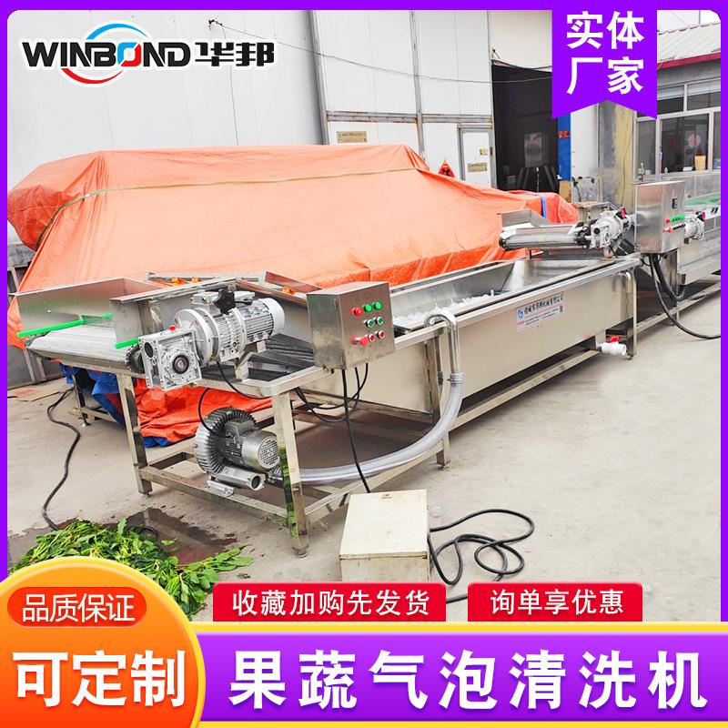 洗菜机 不锈钢果蔬清洗机 韭菜菠菜清洗流水线 苹果气泡清洗机