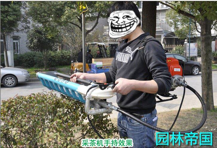 四冲139FA背负式八孔采茶机 二冲程茶叶采摘机 绿篱机配华盛动力