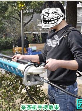 四冲139FA背负式八孔采茶机 二冲程茶叶采摘机 绿篱机配华盛动力