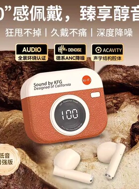 2025新款蓝牙耳机复古CCD相机款真无线降噪适用于苹果华为小米