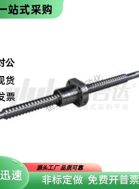 滚珠丝杆LCL02-15-20-L200 L300 L400 L500 L600 L700 L800 L1200