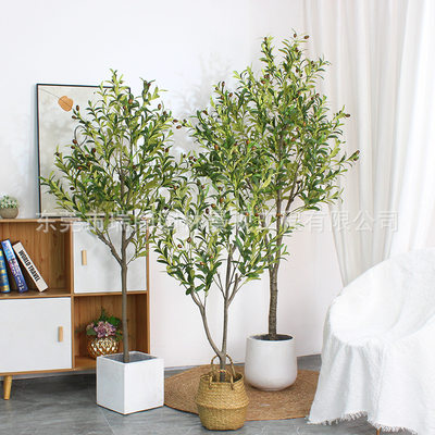 仿真绿植橄榄树客厅摆件北欧风假树室内落地装饰家居盆栽植物