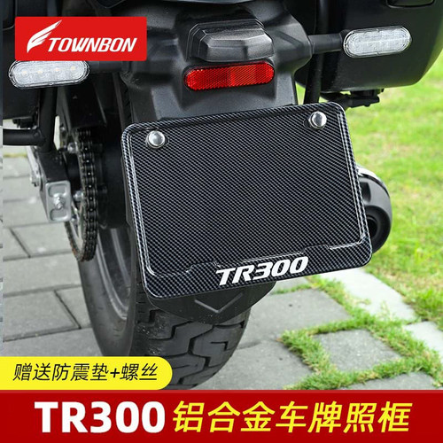 豪爵TR300专用车牌款碳纤维