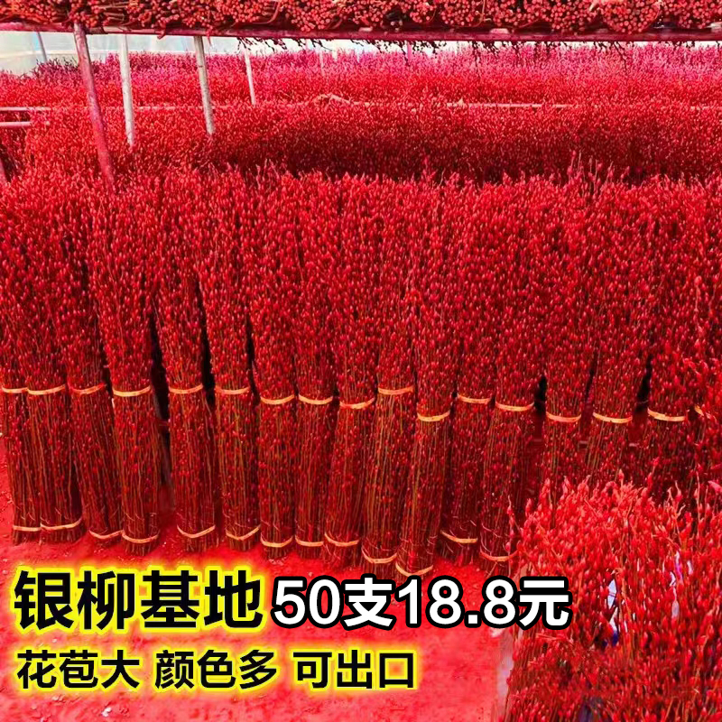 干花花束 客厅摆设 银柳真花鲜枝年宵花室内绿植红色花卉水培植物