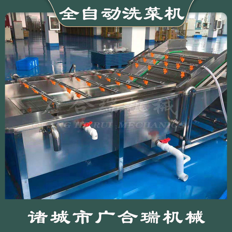 厂家供应果蔬气泡清洗机叶菜类蔬菜清洗风干流水线高压喷淋洗菜机图片