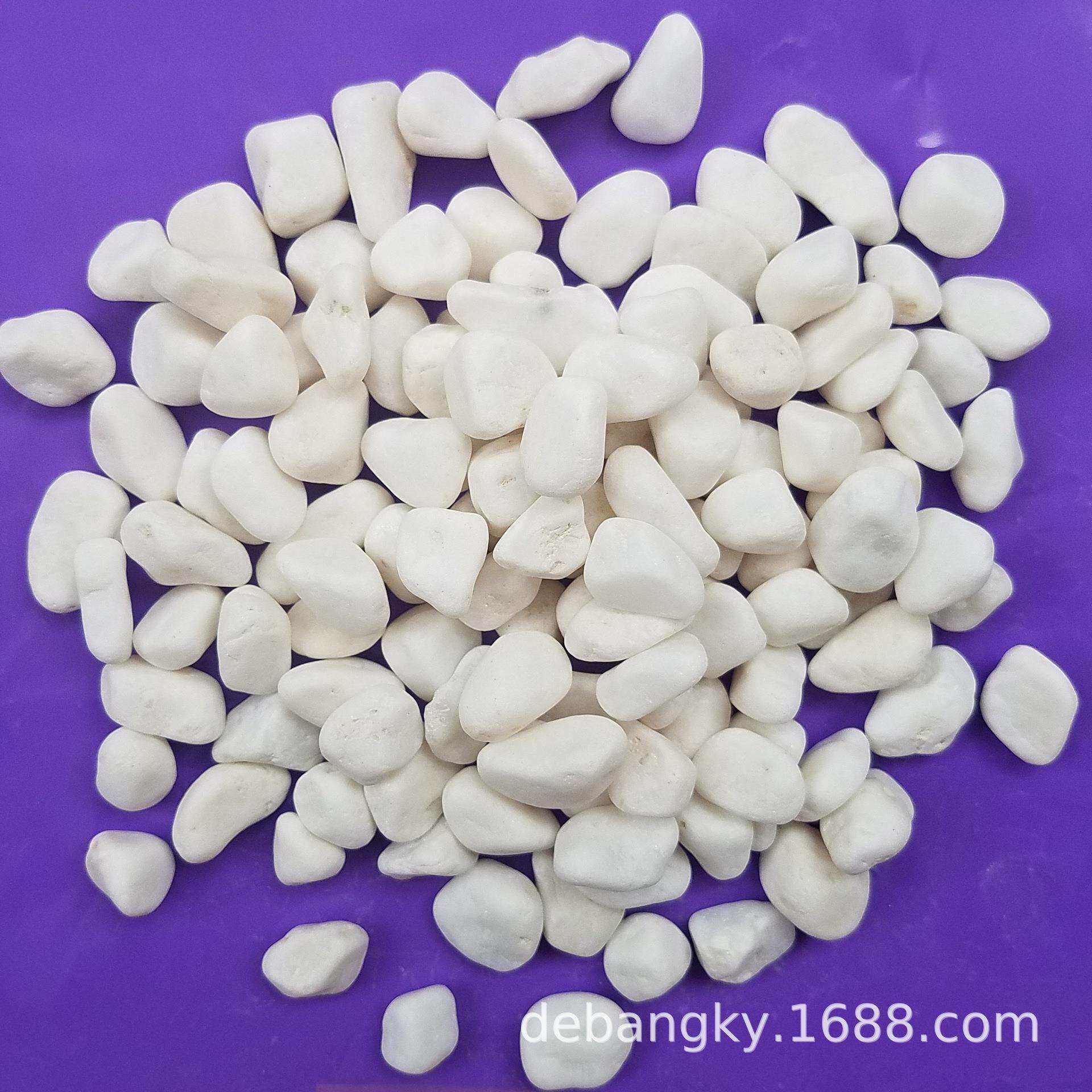 供应彩色鹅卵石园艺景观石白色水磨石石子植物铺面白石子