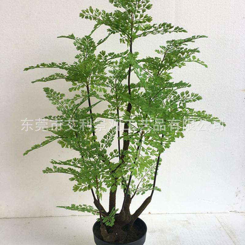 蕨类波斯草植物家居客厅办公室装饰树盆栽假树绿植盆景装饰王