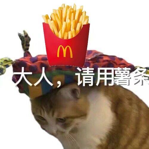 B站虚拟主播 直播点播服务 笑颜猫