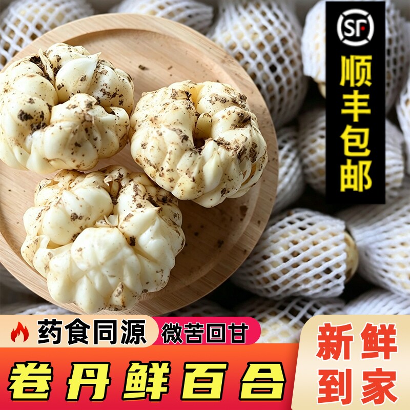 宜兴山百合品种卷丹百合药食同源