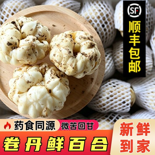 宜兴山百合品种卷丹百合药食同源