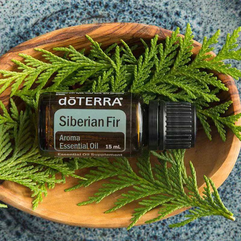 doterra多特瑞精油官网正品西伯利亚冷杉精油单方精油15ml按摩spa