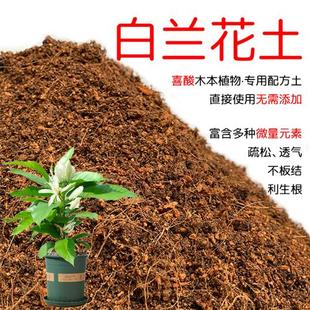 白兰花土酸性土专用营养土盆栽种植白玉兰花透气花泥有机土壤肥料