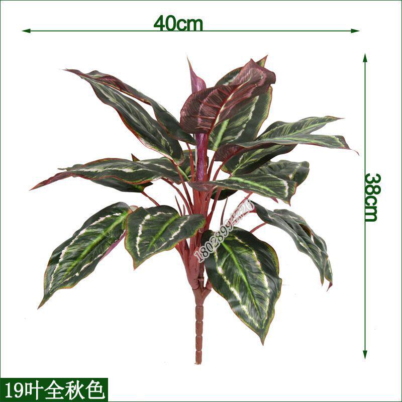 精品仿真植物19叶万年青盆栽绢布大叶子孔雀竹芋桌面装饰绿植花卉