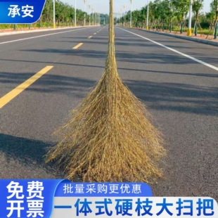 承安一体式大扫把户外庭院马路扫帚环卫清洁工具厂家直销