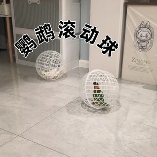 鹦鹉鸡笼塑料圆形球形网红走地可滚动兔笼散养景区走动觅食鸡笼子