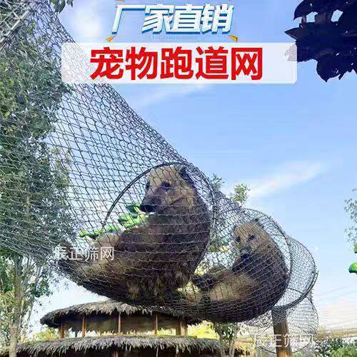 大号铁网笼松鼠玩耍跑道木屋窝蜜袋鼯龙猫居家饲养幼儿园展示网笼