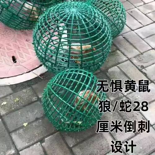 网红走地鸡笼子塑料球形