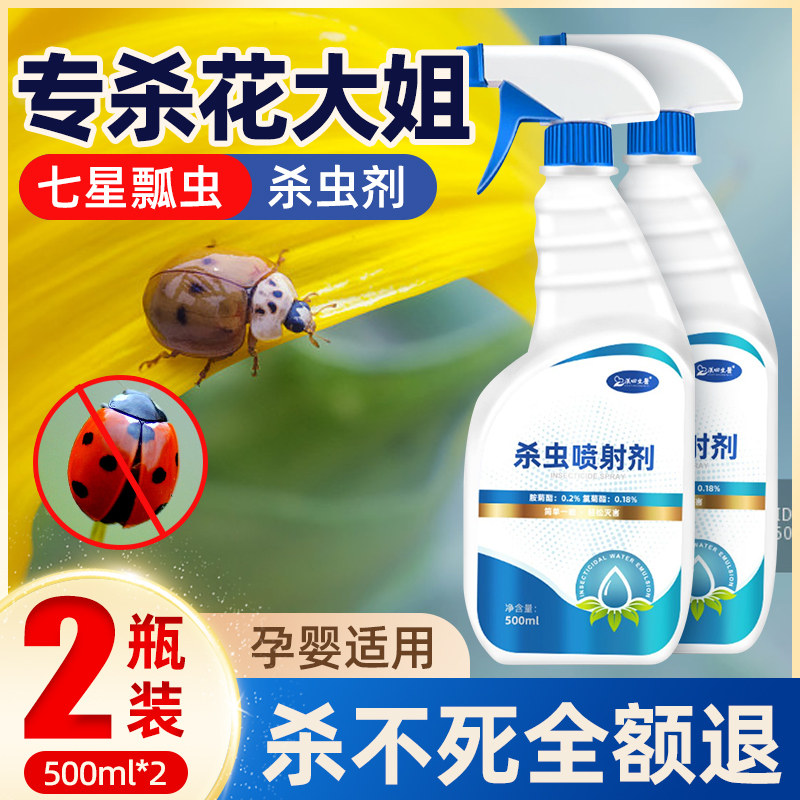 喷花大姐药驱除七星瓢虫药消灭七星瓢虫杀虫剂杀瓢虫药家用室内