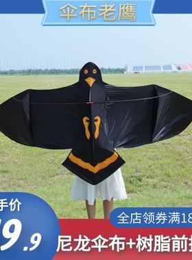 潍坊传统老鹰风筝吓鸟驱鸟仿真儿童成人伞布卡通高档风筝微风易飞