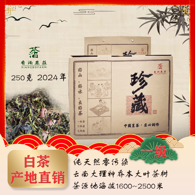 云南白茶野生古树高山天然零污染持久耐泡清香回甘2024年新茶