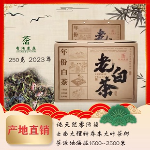 云南古树老白茶野生高山天然零污染持久耐泡清香回甘2023年散茶