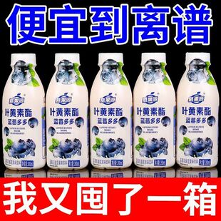 秋冬季便宜清仓整箱9瓶新品蓝莓乳酸菌饮料酸甜可口熬夜家用常备
