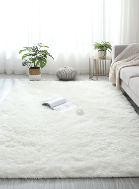 Plush Carpet Living Room Bedroom Fluffy Rug Floor Mat 地毯子