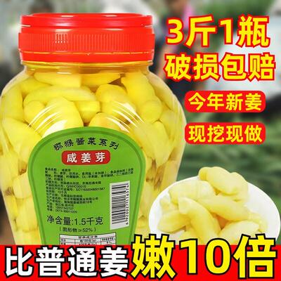 生姜嫩芽无蔗糖新鲜嫩姜芽泡仔姜山东枸杞泡姜嫩姜牙姜嫩芽旗舰店