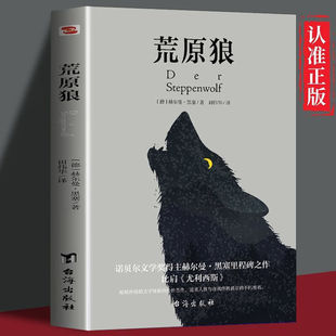 德文直译无删减完整版 尤利西斯 慕尼黑大学图书 荒原狼比肩 正版