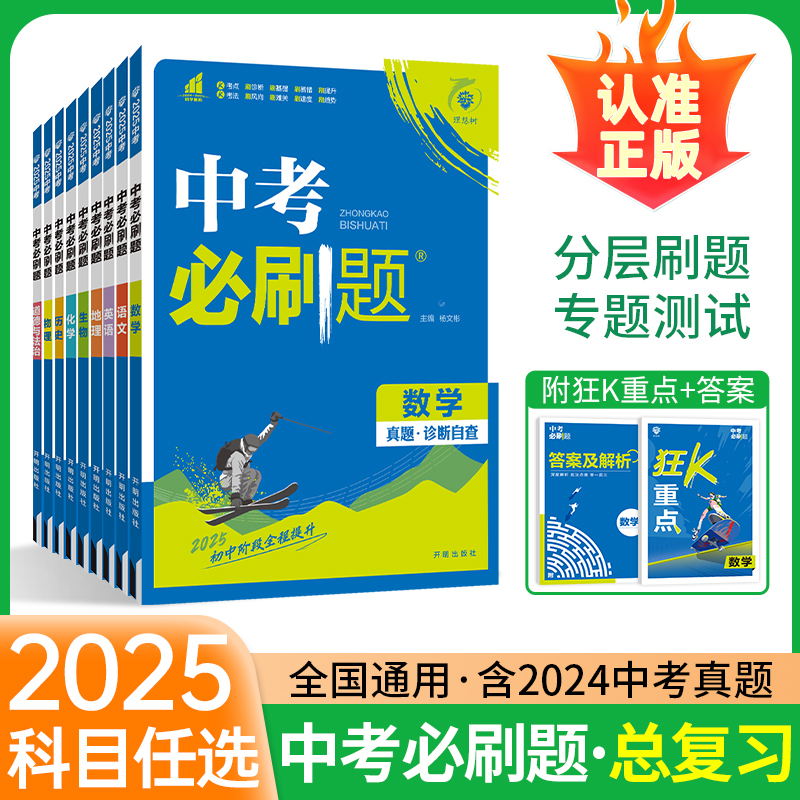 2025中考必刷题总复习初三九年级