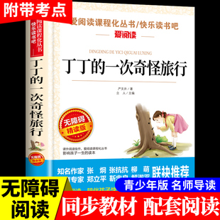 一次奇怪旅行必读正版 书目青少年版 小学生二年级三四五六年级语文课外书阅读书籍适合小学3 故事书经典 原著 6孩子读儿童看 丁丁