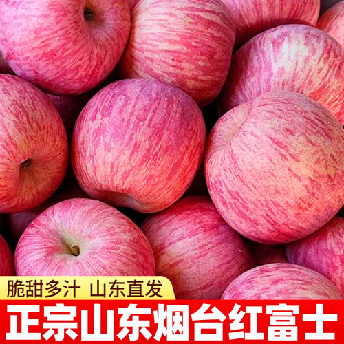 【只做大果】烟台红富士山东直发