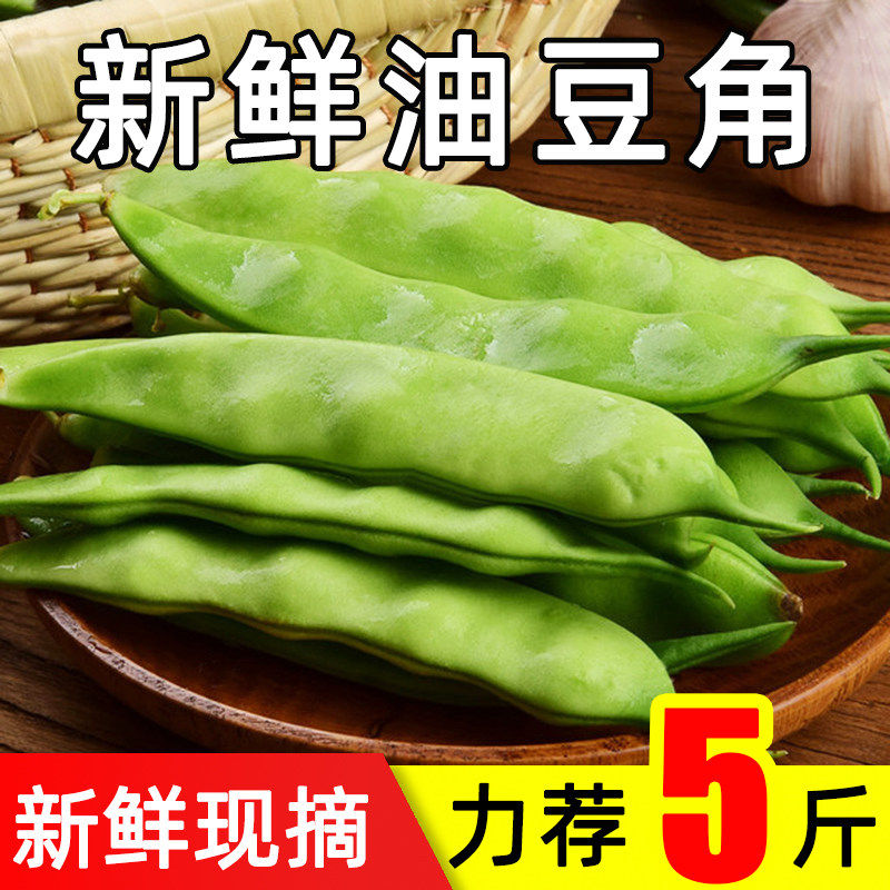 云南高山油豆角现摘九月青一点红混新鲜蔬菜扁青豆角9斤包邮农家,水产肉类/新鲜蔬果/熟食,新鲜豆类,淘宝优惠券,粉丝福利购,淘宝优惠卷